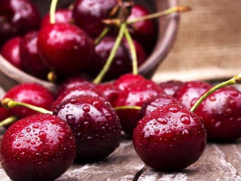 Вишня купить саженцы из питомника в Лобне